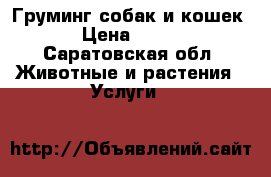Груминг собак и кошек › Цена ­ 500 - Саратовская обл. Животные и растения » Услуги   